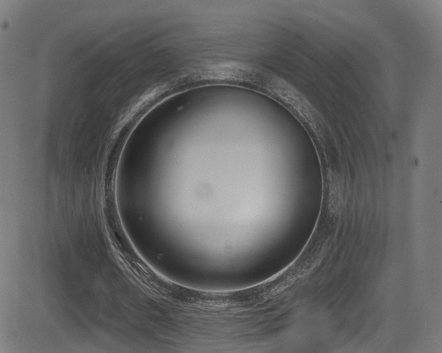 X0000081460482200701121301
