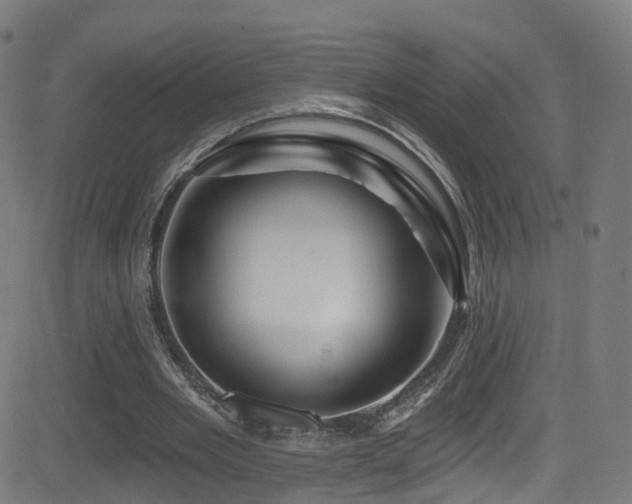 X0000081460485200701121301