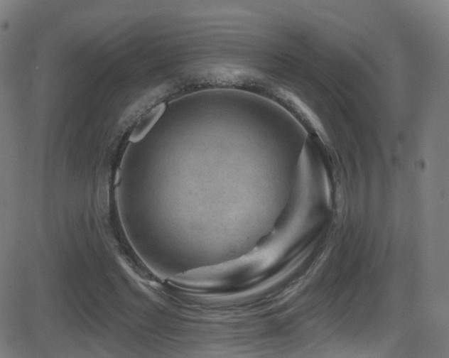 X0000081460493200701121301