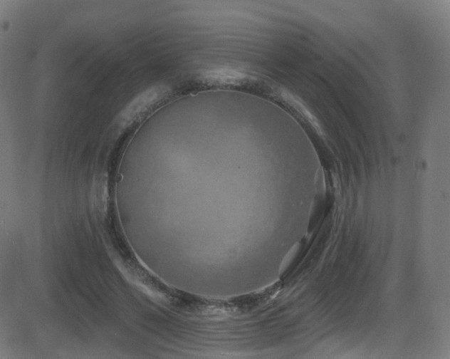 X0000081460494200701121301