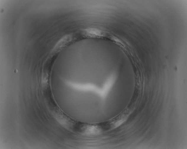 X0000081460507200701121301