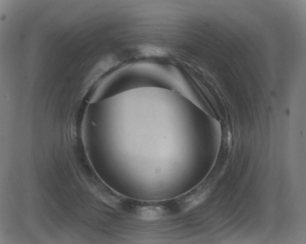 X0000081460508200701121301
