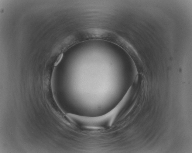 X0000081460509200701121301