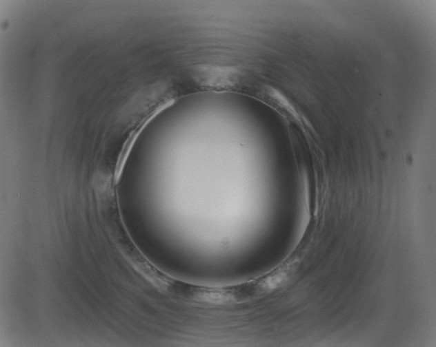 X0000081460521200701121301