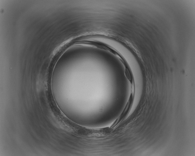 X0000081460536200701121300