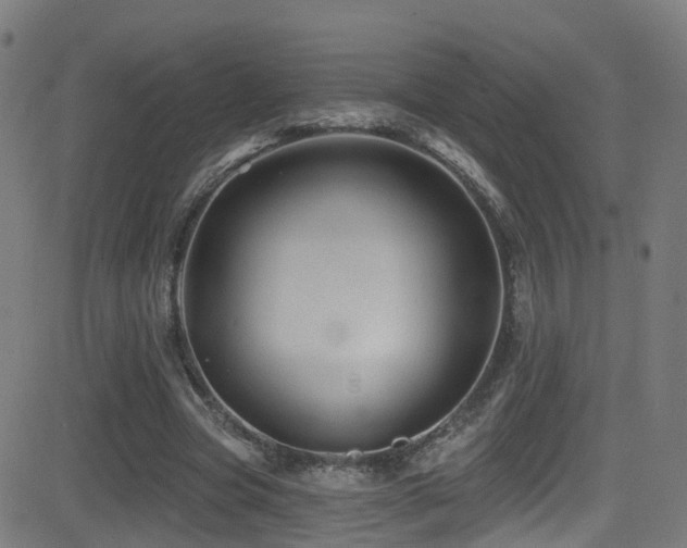 X0000081460537200701121300