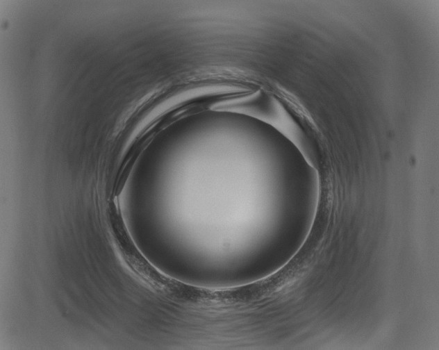 X0000081460538200701121300