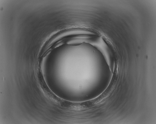 X0000081460540200701121300