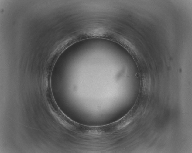 X0000081460541200701121300