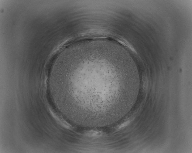 X0000081460542200701121300