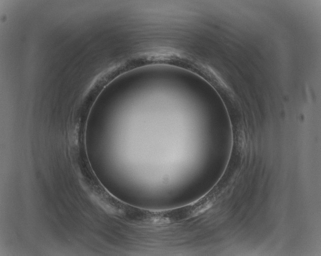 X0000081460543200701121300