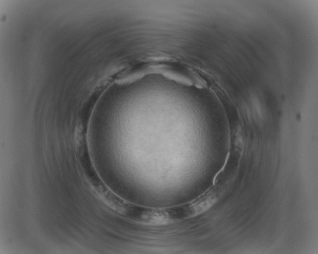 X0000081460559200701121300