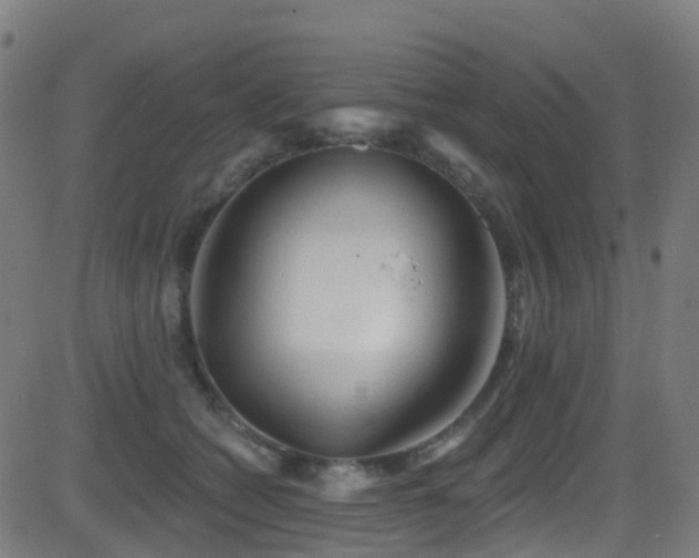 X0000081460562200701121300