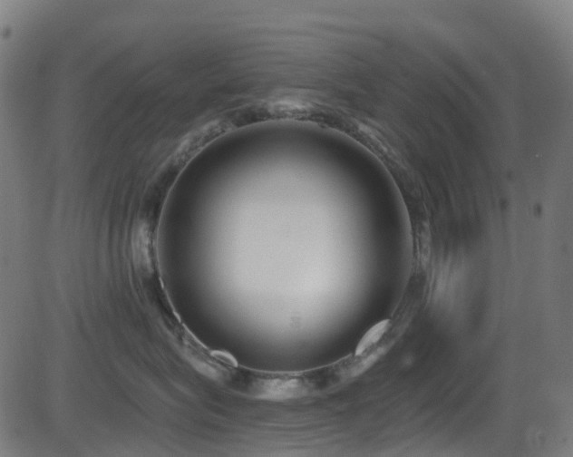 X0000081460575200701121300
