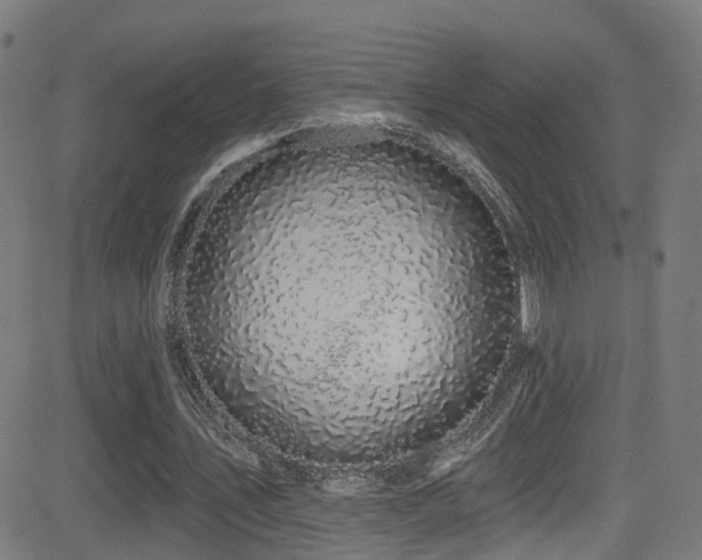 X0000081460579200701121300