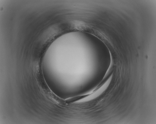 X0000081460595200701121259