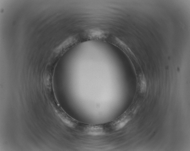 X0000081460619200701121259