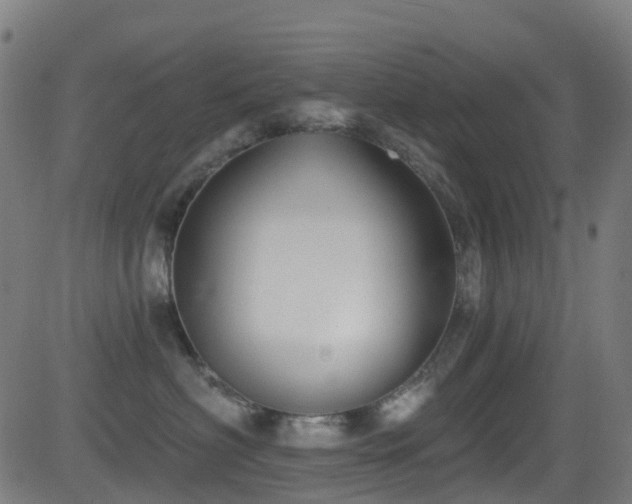 X0000081460622200701121259
