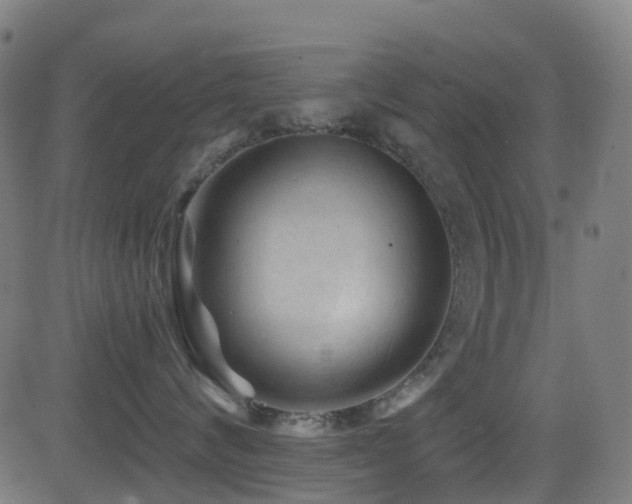 X0000081460624200701121259