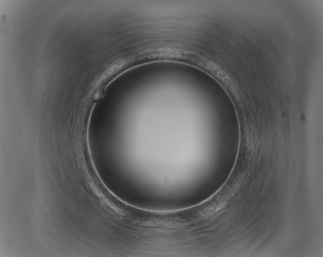 X0000081460625200701121258