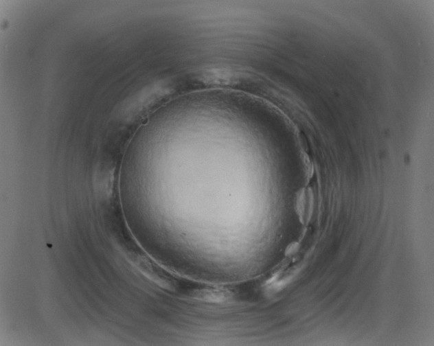 X0000081460652200701121258