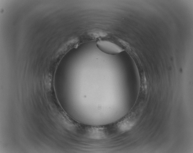 X0000081460664200701121259