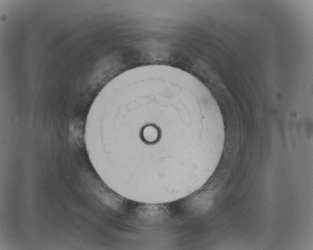 X0000081460672200701121259