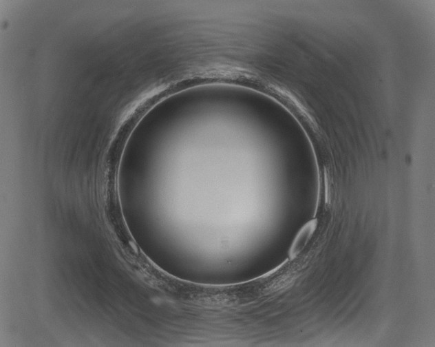 X0000081460675200701121258