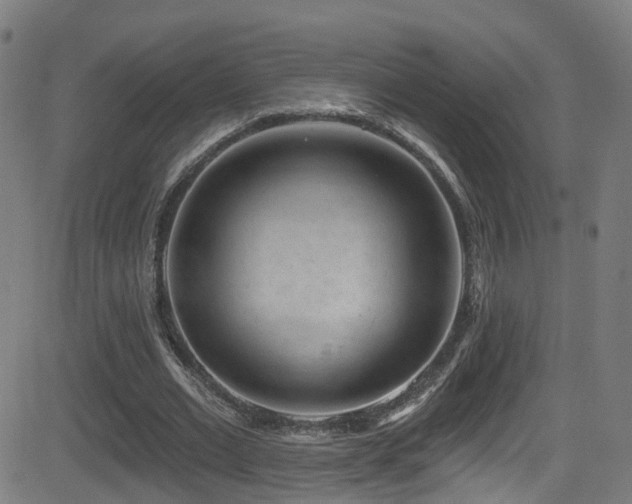 X0000081460677200701121258