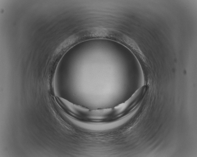 X0000081460681200701121258