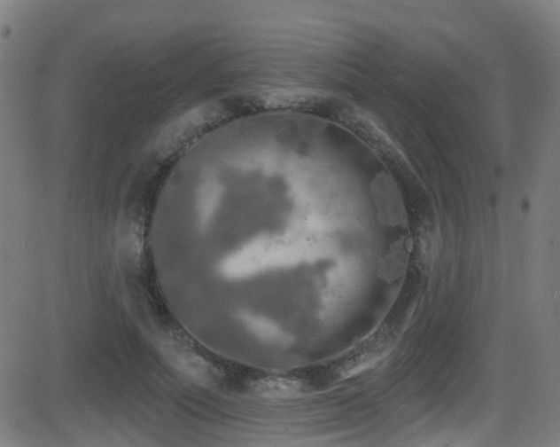 X0000081460691200701121258