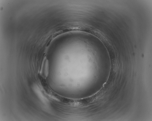 X0000081460695200701121258