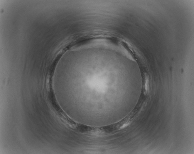 X0000081460696200701121258