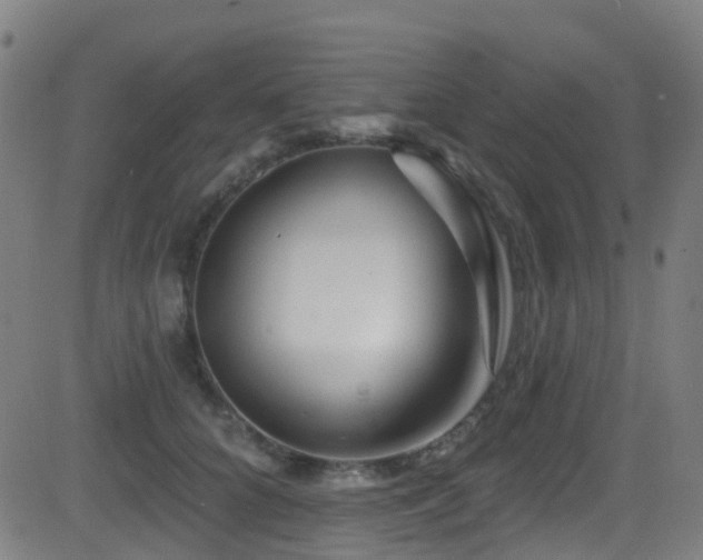 X0000081460704200701121257
