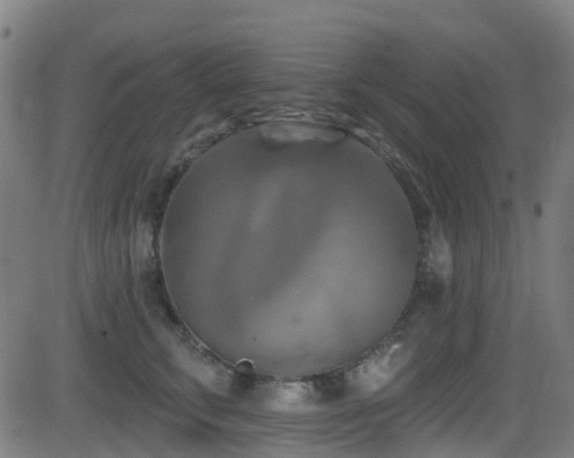 X0000081460711200701121257