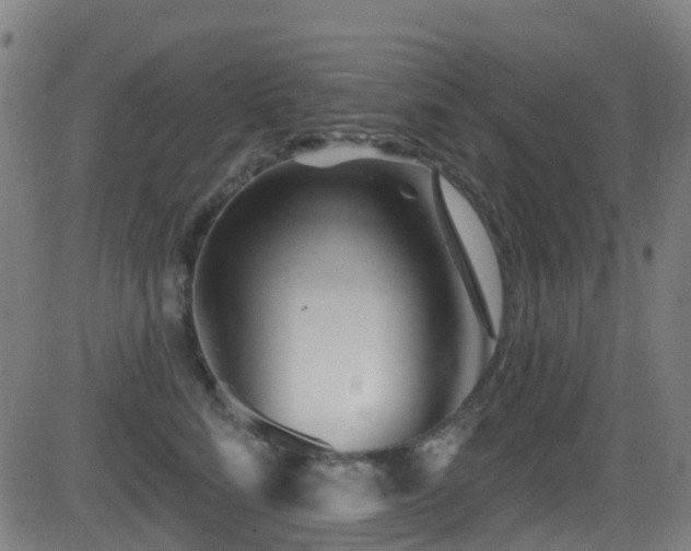 X0000081460712200701121257