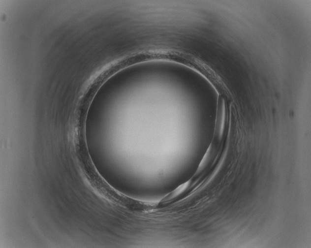X0000081460728200701121257