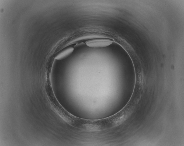 X0000081460733200701121257