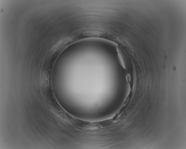 X0000081460743200701121257