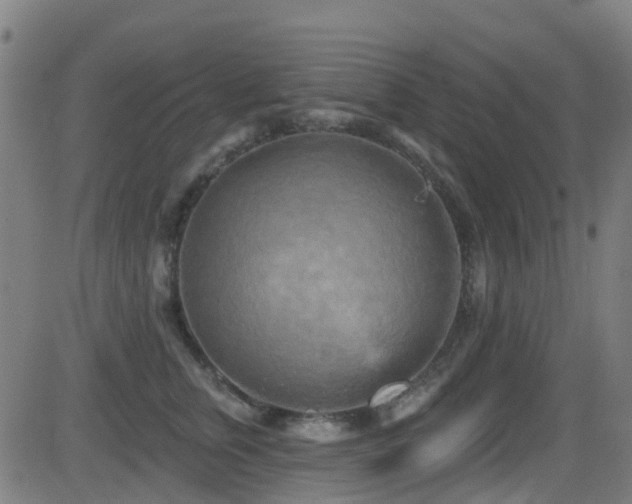 X0000081460759200701121257