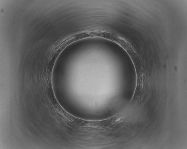 X0000081460773200701121256