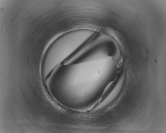 X0000081460788200701121256
