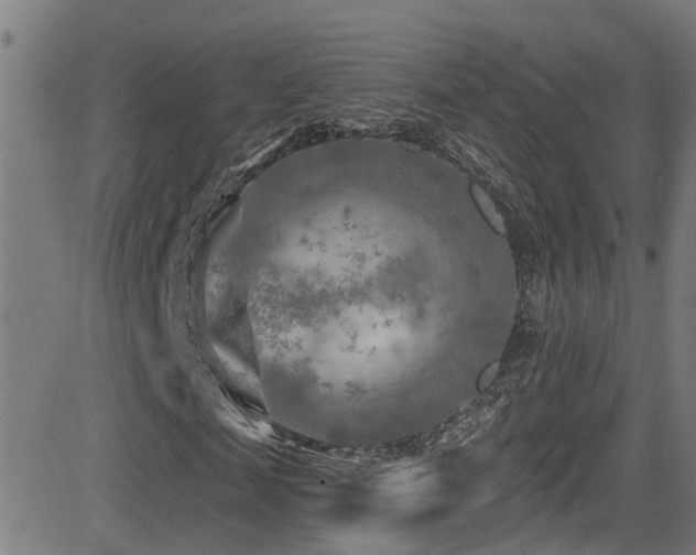 X0000081460817200701121255
