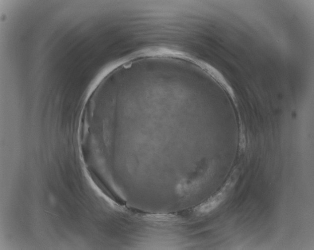 X0000081460863200701121256