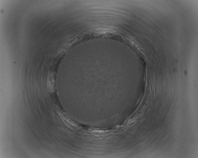 X0000081460868200701121255