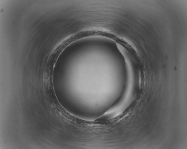 X0000081460872200701121255
