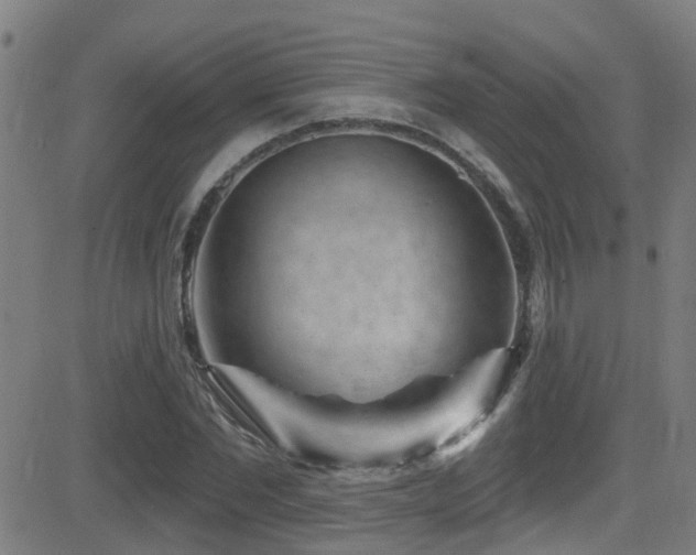 X0000081460877200701121255