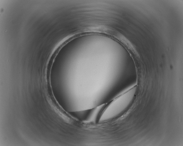 X0000081460884200701121255