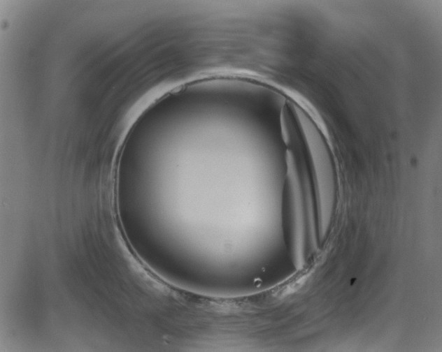 X0000081460911200701121254