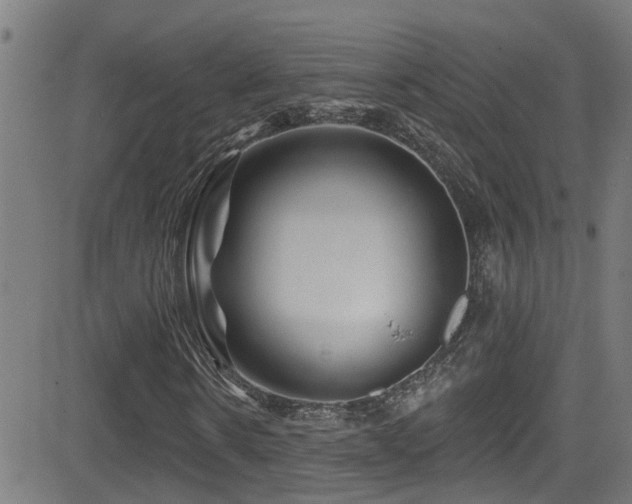 X0000081460914200701121253